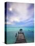 Venezuela, Archipelago Los Roques National Park, Madrisque Island, Pelicans on Pier-Jane Sweeney-Stretched Canvas