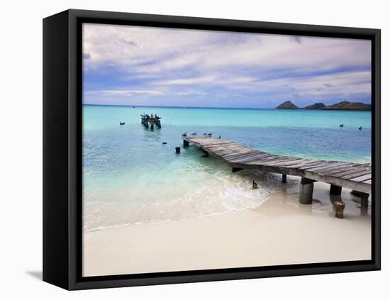 Venezuela, Archipelago Los Roques National Park, Pier on Madrisque Island-Jane Sweeney-Framed Stretched Canvas