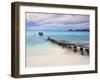 Venezuela, Archipelago Los Roques National Park, Pier on Madrisque Island-Jane Sweeney-Framed Photographic Print