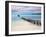 Venezuela, Archipelago Los Roques National Park, Pier on Madrisque Island-Jane Sweeney-Framed Photographic Print