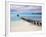 Venezuela, Archipelago Los Roques National Park, Pier on Madrisque Island-Jane Sweeney-Framed Photographic Print