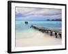 Venezuela, Archipelago Los Roques National Park, Pier on Madrisque Island-Jane Sweeney-Framed Photographic Print