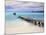 Venezuela, Archipelago Los Roques National Park, Pier on Madrisque Island-Jane Sweeney-Mounted Photographic Print