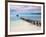 Venezuela, Archipelago Los Roques National Park, Pier on Madrisque Island-Jane Sweeney-Framed Photographic Print