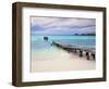 Venezuela, Archipelago Los Roques National Park, Pier on Madrisque Island-Jane Sweeney-Framed Photographic Print