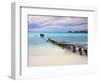 Venezuela, Archipelago Los Roques National Park, Pier on Madrisque Island-Jane Sweeney-Framed Photographic Print