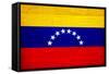 Venezuela Flag Design with Wood Patterning - Flags of the World Series-Philippe Hugonnard-Framed Stretched Canvas