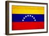 Venezuela Flag Design with Wood Patterning - Flags of the World Series-Philippe Hugonnard-Framed Premium Giclee Print