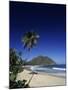 Venezuela-null-Mounted Photographic Print