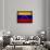 Venezuela-David Bowman-Giclee Print displayed on a wall