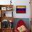 Venezuela-David Bowman-Stretched Canvas displayed on a wall