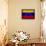Venezuela-David Bowman-Stretched Canvas displayed on a wall