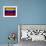 Venezuela-David Bowman-Framed Giclee Print displayed on a wall