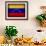 Venezuela-David Bowman-Framed Giclee Print displayed on a wall