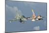 Venezuelan Air Force F-16 and Brazilian Air Force F-5 in Flight over Brazil-Stocktrek Images-Mounted Photographic Print