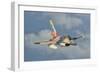 Venezuelan Air Force F-16 in Flight over Brazil-Stocktrek Images-Framed Photographic Print