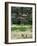 Venezuelan Children Play Soccer at the Resplandor Shantytown-null-Framed Photographic Print