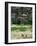 Venezuelan Children Play Soccer at the Resplandor Shantytown-null-Framed Photographic Print