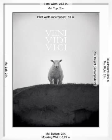 Veni, Vidi, Vici' Posters - Lee Frost | AllPosters.com