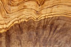 Olive Wood Texture-Veniamin Kraskov-Stretched Canvas