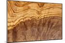 Wood Mount