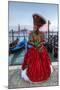 Venice at Carnival Time, Italy-Darrell Gulin-Mounted Photographic Print