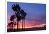 Venice Beach, CA, USA: Evening Sky Over Pacific Ocean, Santa Monica Mts & Pier With Palm Trees-Axel Brunst-Framed Photographic Print