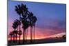 Venice Beach, CA, USA: Evening Sky Over Pacific Ocean, Santa Monica Mts & Pier With Palm Trees-Axel Brunst-Mounted Photographic Print