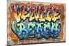 Venice Beach, California - Graffiti-Lantern Press-Mounted Art Print