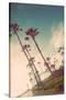 Venice Beach Fun-Emily Navas-Stretched Canvas