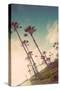 Venice Beach Fun-Emily Navas-Stretched Canvas