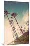 Venice Beach Fun-Emily Navas-Mounted Art Print