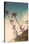 Venice Beach Fun-Emily Navas-Stretched Canvas