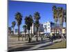 Venice Beach, Los Angeles, California, United States of America, North America-Wendy Connett-Mounted Photographic Print