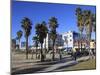 Venice Beach, Los Angeles, California, United States of America, North America-Wendy Connett-Mounted Photographic Print