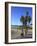 Venice Beach, Los Angeles, California, United States of America, North America-Wendy Connett-Framed Photographic Print