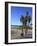 Venice Beach, Los Angeles, California, United States of America, North America-Wendy Connett-Framed Photographic Print