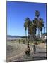 Venice Beach, Los Angeles, California, United States of America, North America-Wendy Connett-Mounted Photographic Print