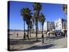 Venice Beach, Los Angeles, California, United States of America, North America-Wendy Connett-Stretched Canvas