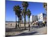 Venice Beach, Los Angeles, California, United States of America, North America-Wendy Connett-Mounted Photographic Print