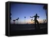 Venice Beach, Los Angeles, USA-Neil Farrin-Framed Stretched Canvas