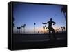 Venice Beach, Los Angeles, USA-Neil Farrin-Framed Stretched Canvas