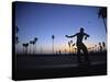 Venice Beach, Los Angeles, USA-Neil Farrin-Stretched Canvas