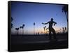 Venice Beach, Los Angeles, USA-Neil Farrin-Framed Stretched Canvas