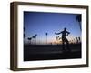 Venice Beach, Los Angeles, USA-Neil Farrin-Framed Premium Photographic Print