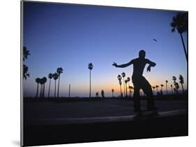 Venice Beach, Los Angeles, USA-Neil Farrin-Mounted Photographic Print