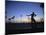 Venice Beach, Los Angeles, USA-Neil Farrin-Mounted Photographic Print