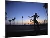 Venice Beach, Los Angeles, USA-Neil Farrin-Mounted Photographic Print