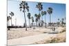 Venice Beach, Los Angeles-telesniuk-Mounted Photographic Print