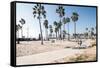 Venice Beach, Los Angeles-telesniuk-Framed Stretched Canvas